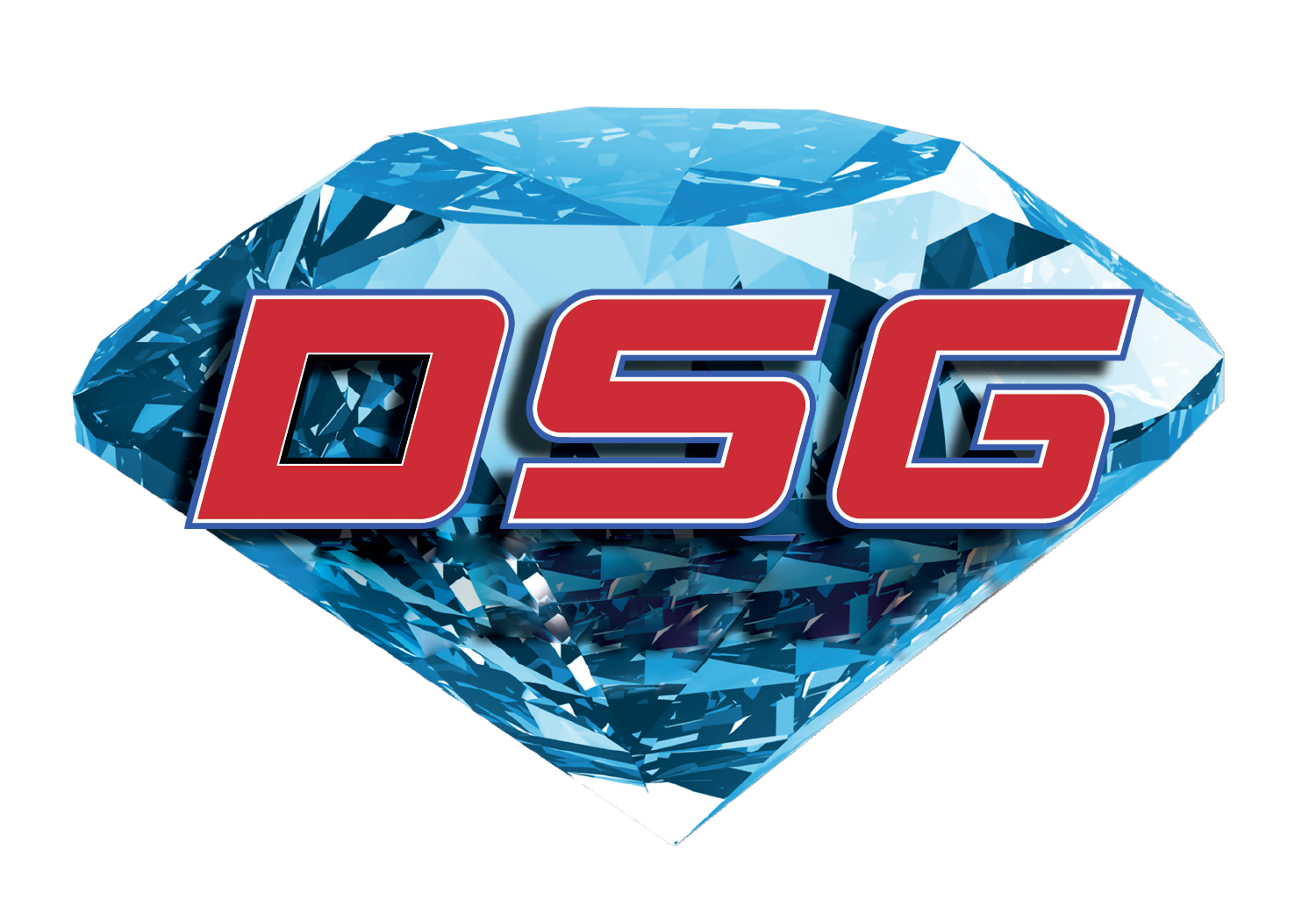 DSG Grading Logo